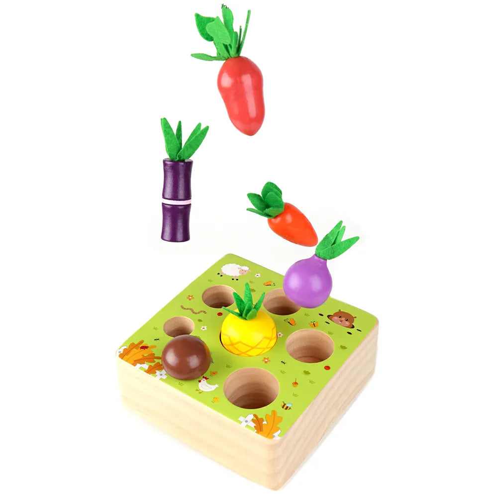 Montessori Vegetable Set